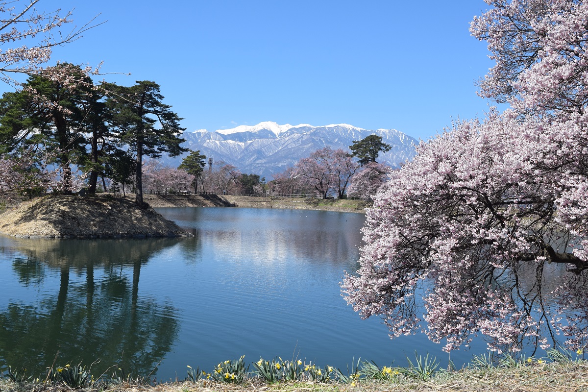 先生のサポート